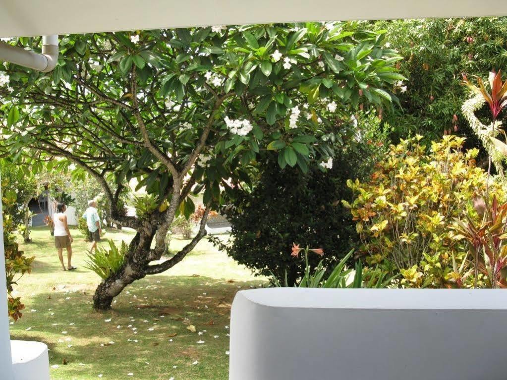Alojamento de Acomodação e Pequeno-almoço Daniella's 2*