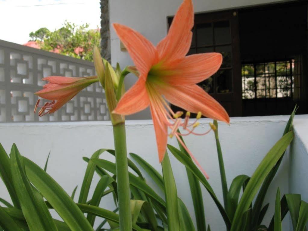 Bed & Breakfast Daniella's